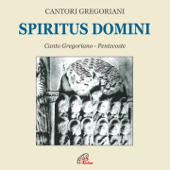 Spiritus domini