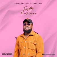 A N3 Sono - Single - Fasetwo