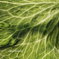 Real World - Single - Grandace & nimamakesbeats