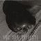 Ame Sua Travesti (feat. Dry) - Quésia Sonza lyrics