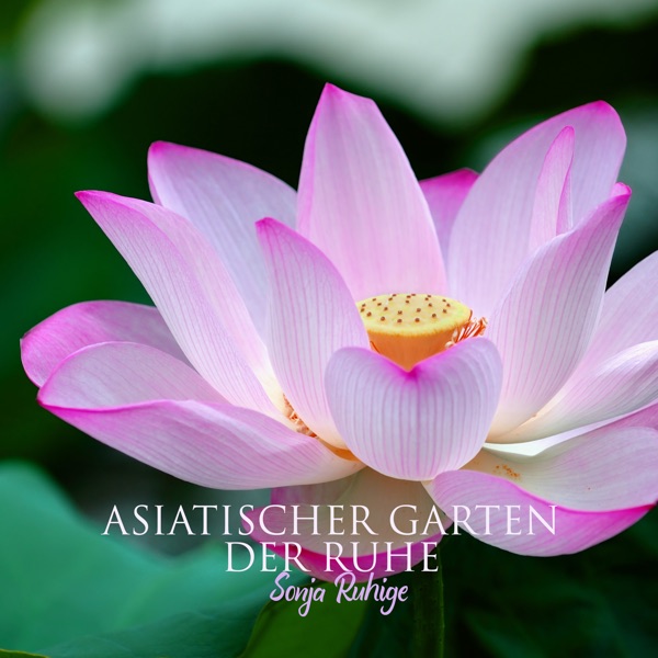 Asiatischer Garten der Ruhe