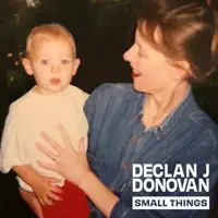 SMALL THINGS