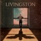Livingston (feat. Gabriele Fassina) - Massimo Mura lyrics