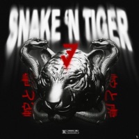 Snake N Tiger 3 (feat. Aly Bravo) - Single - Lil Van, IBRA & Aday P