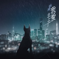 我爱北上广 - Single - Yang Kun