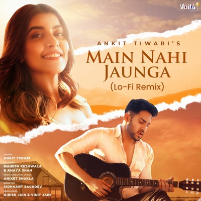 Main Nahi Jaunga (Lo-Fi Remix) - Single