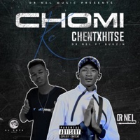 Chomi ke chentxhitse (feat. Bukzin) - Single - Dr Nel