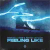 Stream & download Feeling Like - Single