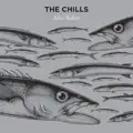Warm Waveform