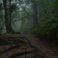 Imfine - Single - bliiiss