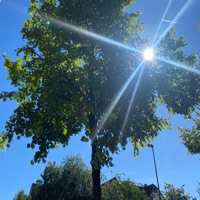 blauer himmel - Single - prttyblu