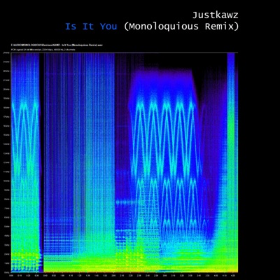 Is It You (Monoloquious Remix) - Single