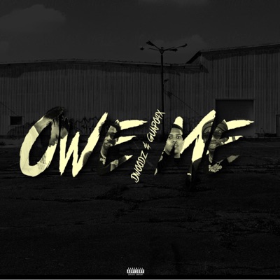Owe Me (feat. Guapo4x) - Single