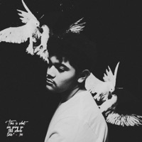 Isolation Pt. 2 - Single - ADAMthe300