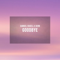 Goodbye - Single - Samuel Vasell & BJRB