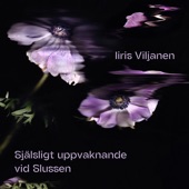 Själsligt uppvaknande vid Slussen artwork