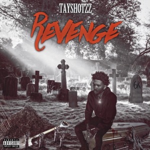 Revenge - Single
