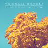 Doug Kaufman - No Small Wonder artwork