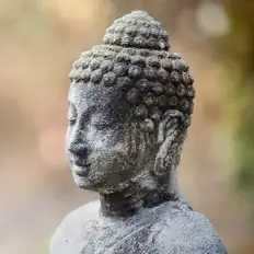 Luister naar Buddha's Flute, bekijk muziekvideo's, lees de bio, bekijk de tourdata, en meer!