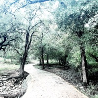 In the smoke - Single - Boyywassabi