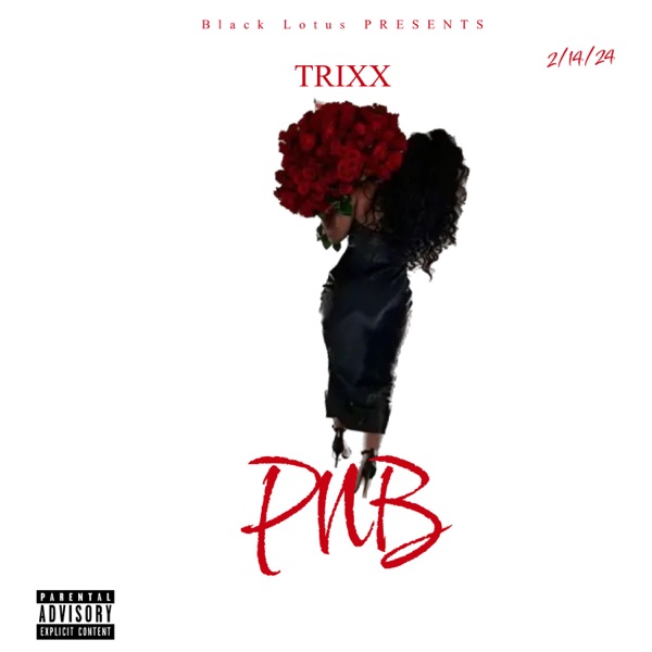 Pnb