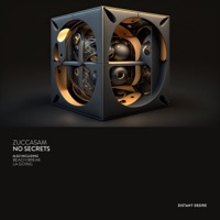 No Secrets - Single - Zuccasam