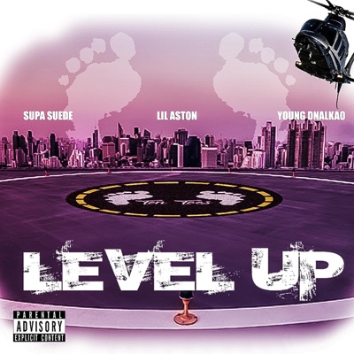 Level Up (feat. Supa SUEDE, Lil Aston & Young Dnalkao) - Single