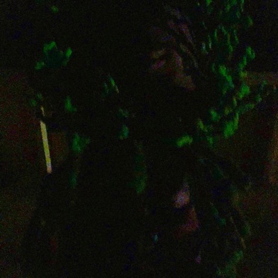 Starstruck (feat. INFINITY) - Single