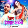 Jila Ke Rangdar Bhaini - Single