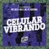 Celular Vibrando song reviews