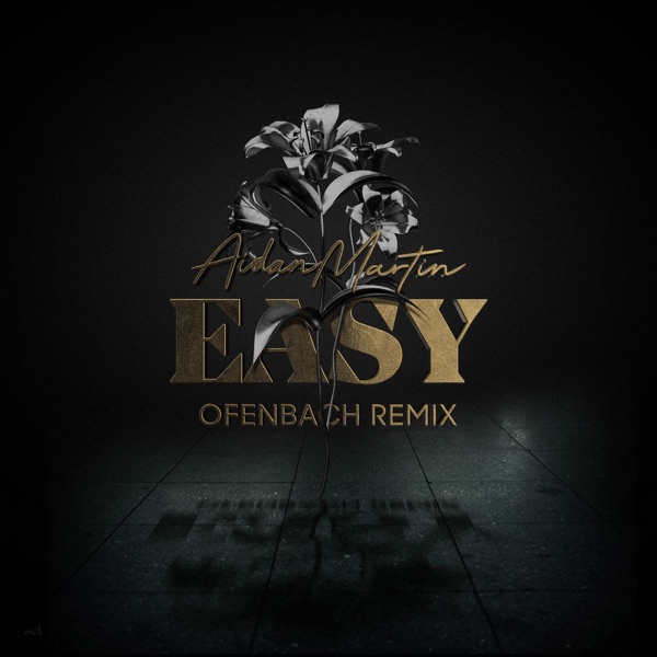 Easy (Ofenbach Remix) - Single - Aidan Martin