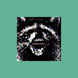 Raccoon Fleet Khüdósoul