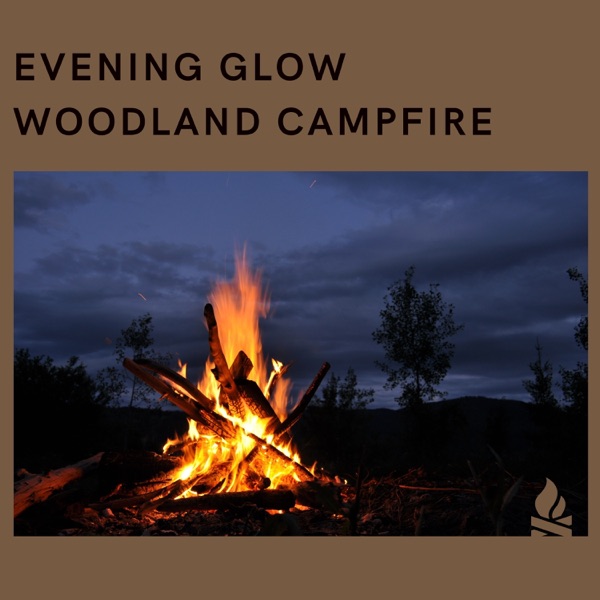 Evening Glow: Woodland Campfire