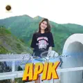 Apik