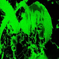 Skin IM In - Single - GEHRMAN