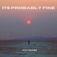 Its Probably Fine - EP - Pat Haass
