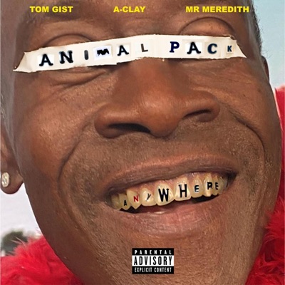 Anywhere (feat. Animal Pack) - Single