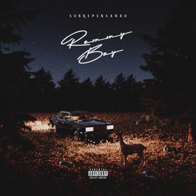 Sobrepensando - Single