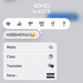 Missingyou (feat. SKEETE) [Remix] Romzy