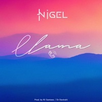 Llama - Single - Nigel