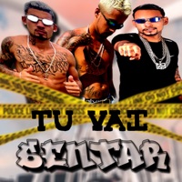 Tu Vai Sentar - Single - mc boyugo, Zoi de Gato & eryck pl