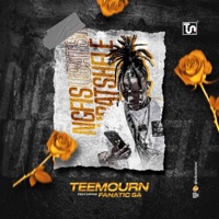 Ngfisubatshele (feat. Fanatic SA) - Single - TEEMOURN