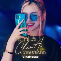 Em Là Chân Ái Của Đời Anh (Remix) - Single - NBORO FLY HUB