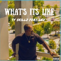What it's like (feat. Lex) - Single - Ty Skillz