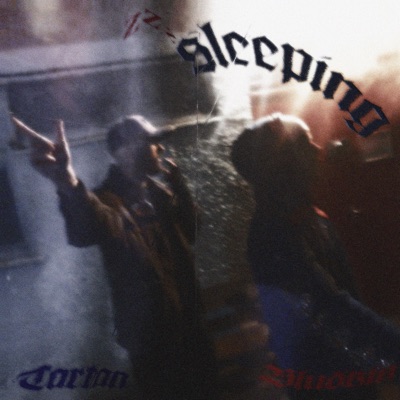 Sleeping (feat. Bludkin) - Single