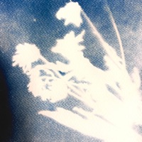 demons (feat. Oldman Freeman & Mary Sue) - Single - Kingayeo