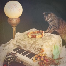 Something That Destroys You