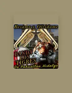 收听 Banda Los Tigres De Pahuatlan Hidalgo、观看音乐视频、阅读小传、查看巡演日期等 ！