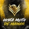 Gosta Muito de Mamar - Single