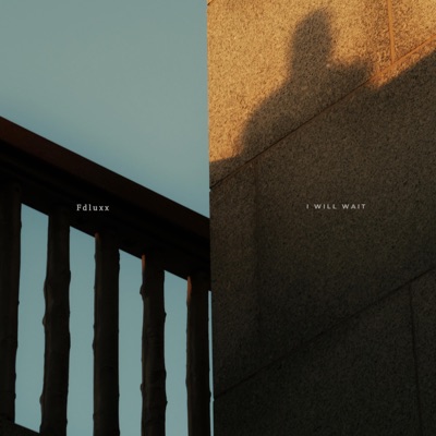 I Will Wait - Single